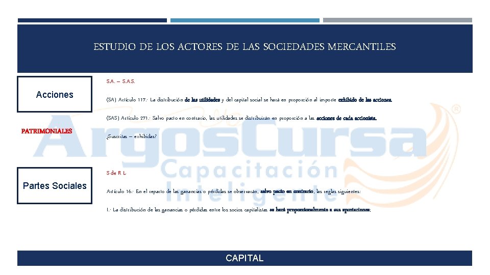 ESTUDIO DE LOS ACTORES DE LAS SOCIEDADES MERCANTILES S. A. – S. A. S.