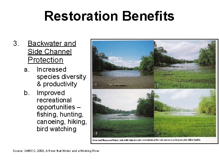 Restoration Benefits 3. Backwater and Side Channel Protection a. b. Increased species diversity &