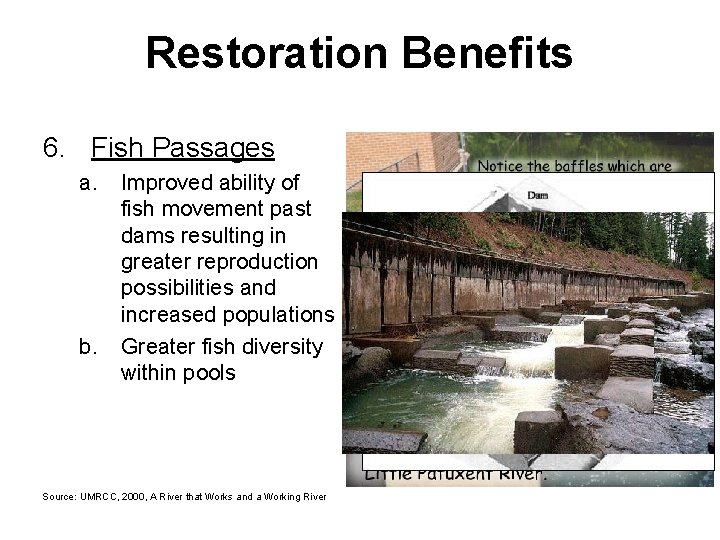 Restoration Benefits 6. Fish Passages a. b. Improved ability of fish movement past dams
