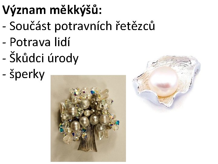 Význam měkkýšů: - Součást potravních řetězců - Potrava lidí - Škůdci úrody - šperky