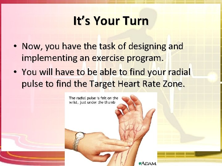 It’s Your Turn • Now, you have the task of designing and implementing an