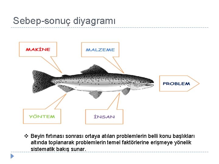 Sebep-sonuç diyagramı v Beyin fırtınası sonrası ortaya atılan problemlerin belli konu başlıkları altında toplanarak