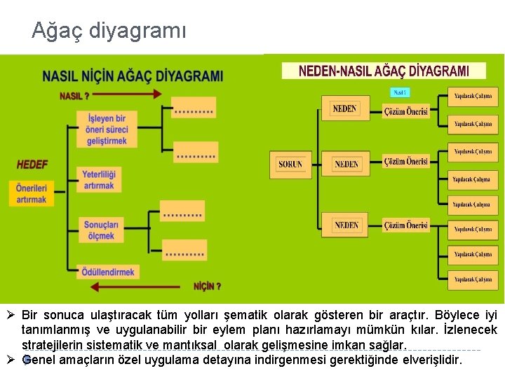 Ağaç diyagramı Ø Bir sonuca ulaştıracak tüm yolları şematik olarak gösteren bir araçtır. Böylece