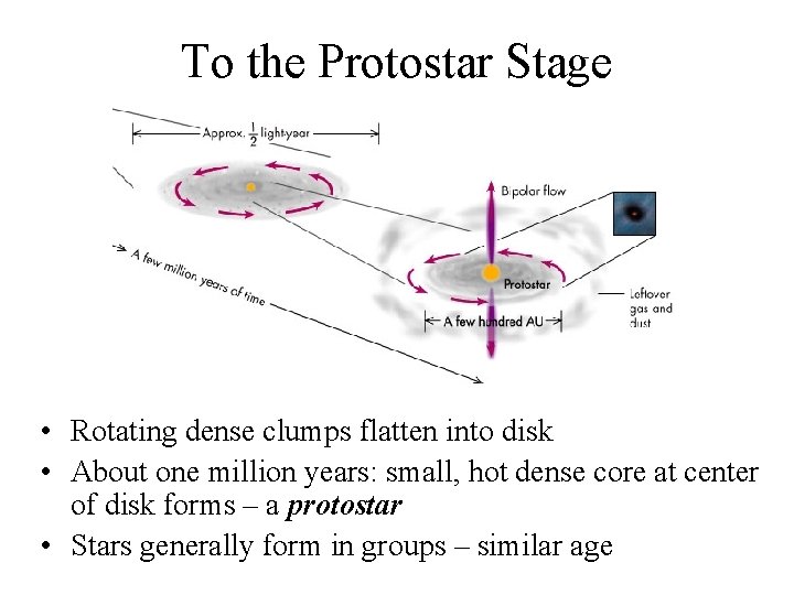 To the Protostar Stage • Rotating dense clumps flatten into disk • About one