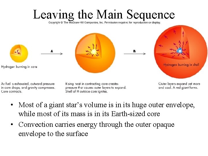 Leaving the Main Sequence • Most of a giant star’s volume is in its
