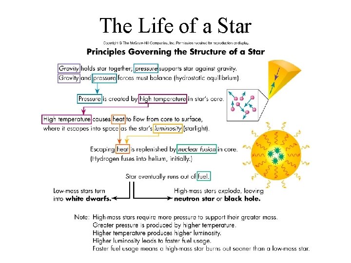 The Life of a Star 