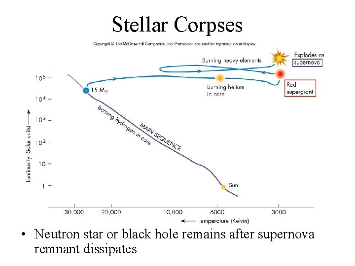 Stellar Corpses • Neutron star or black hole remains after supernova remnant dissipates 