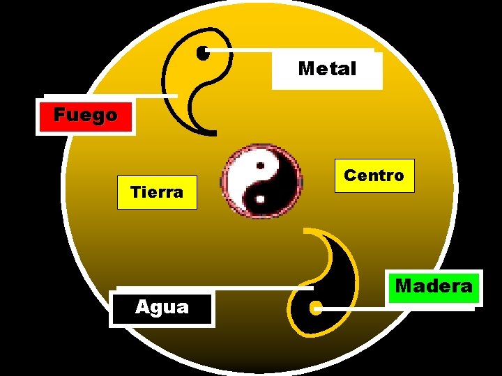 Metal Fuego Tierra Agua Centro Madera 