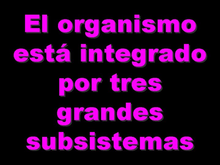 El organismo está integrado por tres grandes subsistemas 