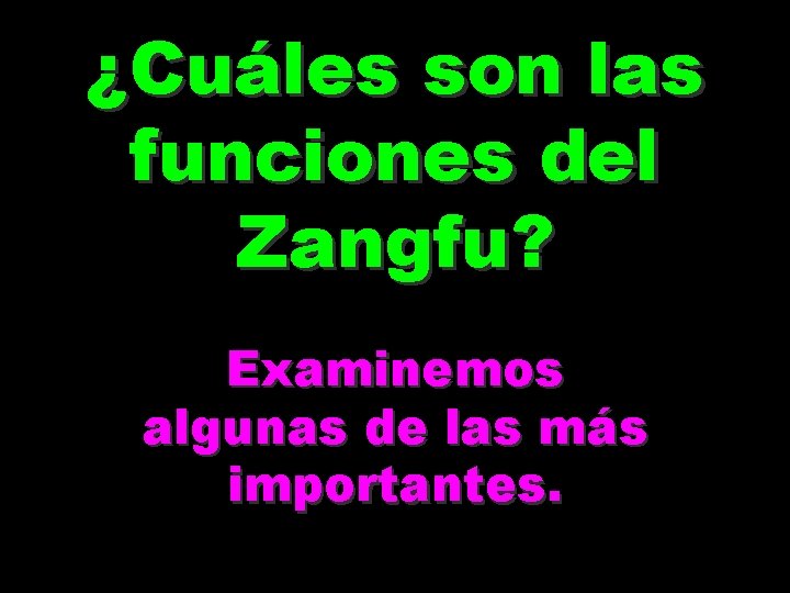 ¿Cuáles son las funciones del Zangfu? Examinemos algunas de las más importantes. 