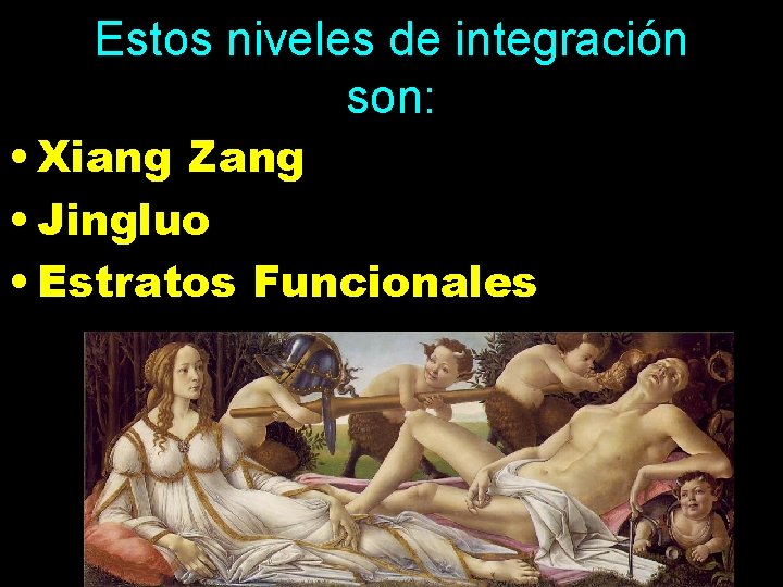 Estos niveles de integración son: • Xiang Zang • Jingluo • Estratos Funcionales 