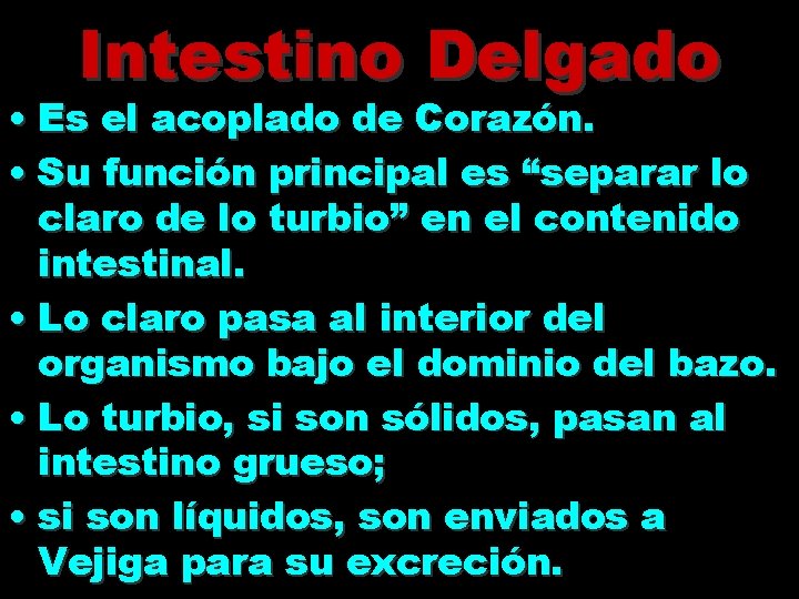 Intestino Delgado • Es el acoplado de Corazón. • Su función principal es “separar