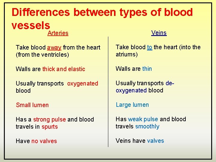 Differences between types of blood vessels Arteries Veins Take blood away from the heart