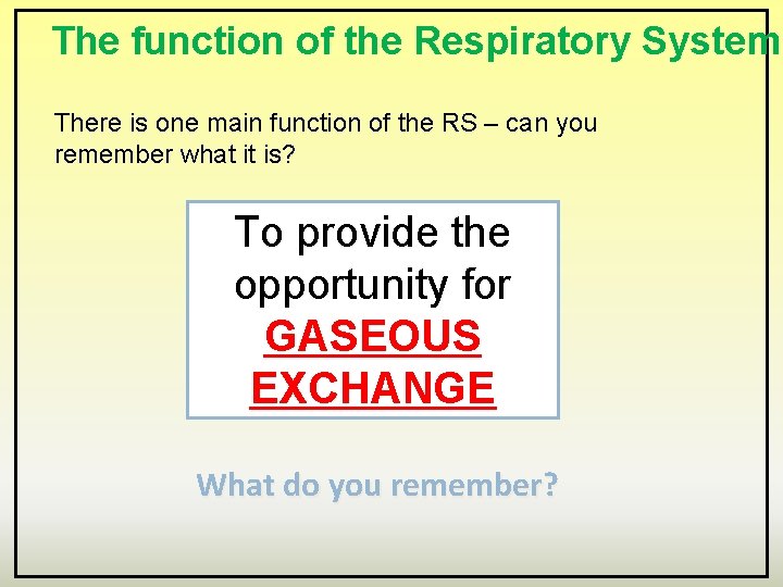 The function of the Respiratory System There is one main function of the RS