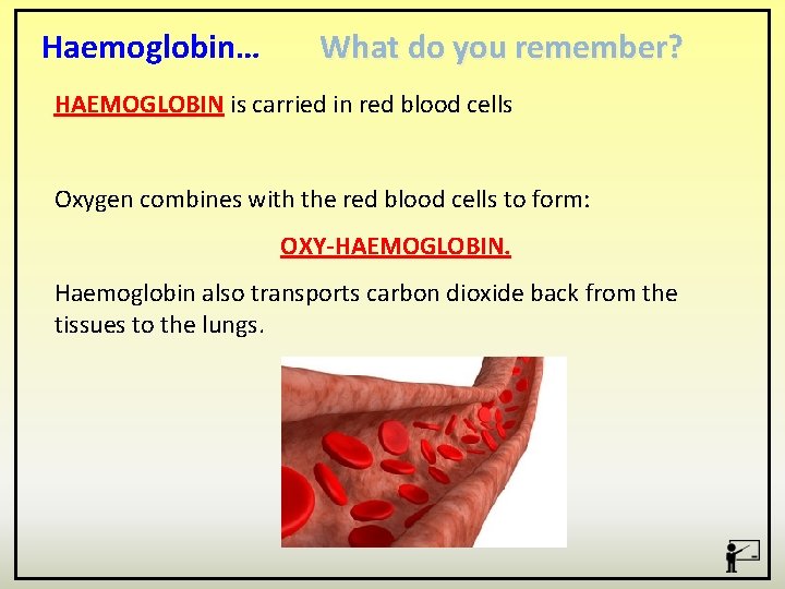 Haemoglobin… What do you remember? HAEMOGLOBIN is carried in red blood cells Oxygen combines