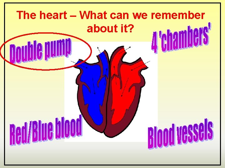 The heart – What can we remember about it? 