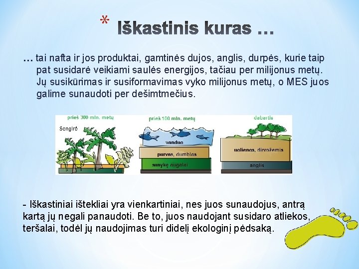 * … tai nafta ir jos produktai, gamtinės dujos, anglis, durpės, kurie taip pat