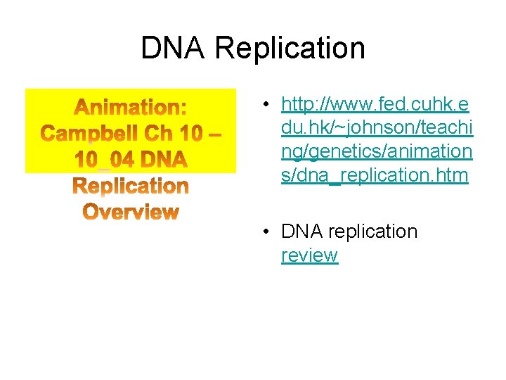 DNA Replication • http: //www. fed. cuhk. e du. hk/~johnson/teachi ng/genetics/animation s/dna_replication. htm •