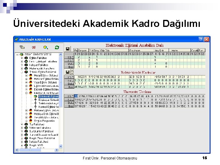 Üniversitedeki Akademik Kadro Dağılımı Fırat Üniv. Personel Otomasyonu 15 