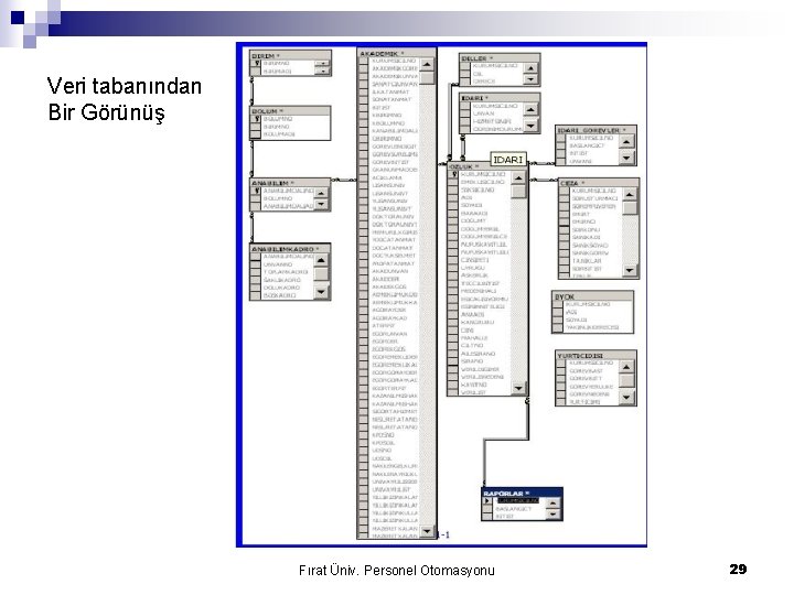 Veri tabanından Bir Görünüş Fırat Üniv. Personel Otomasyonu 29 