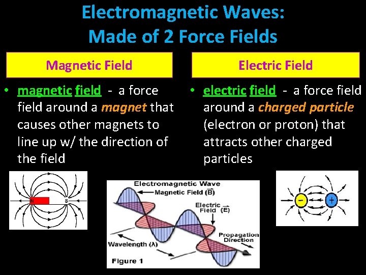 Electromagnetic Waves: Made of 2 Force Fields Magnetic Field Electric Field • magnetic field