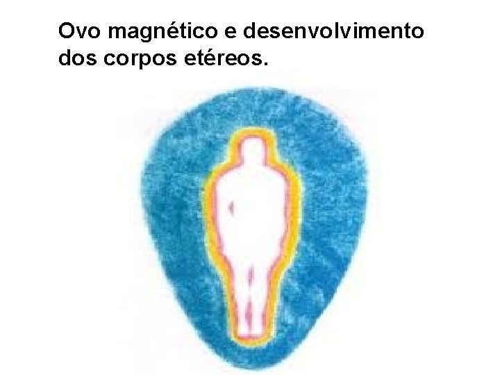 Ovo magnético e desenvolvimento dos corpos etéreos. 