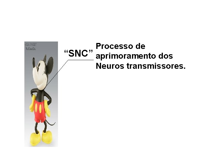 Processo de “SNC” aprimoramento dos Neuros transmissores. 