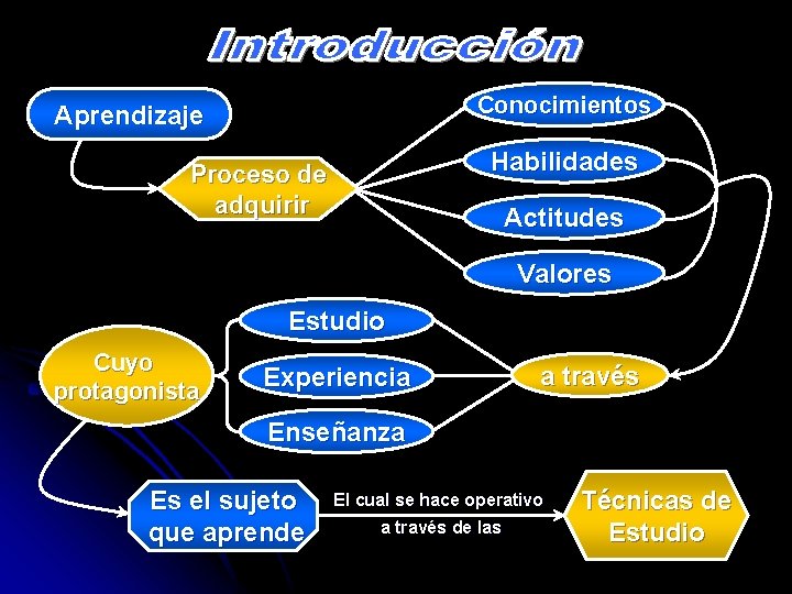 Conocimientos Aprendizaje Habilidades Proceso de adquirir Actitudes Valores Estudio Cuyo protagonista Experiencia a través