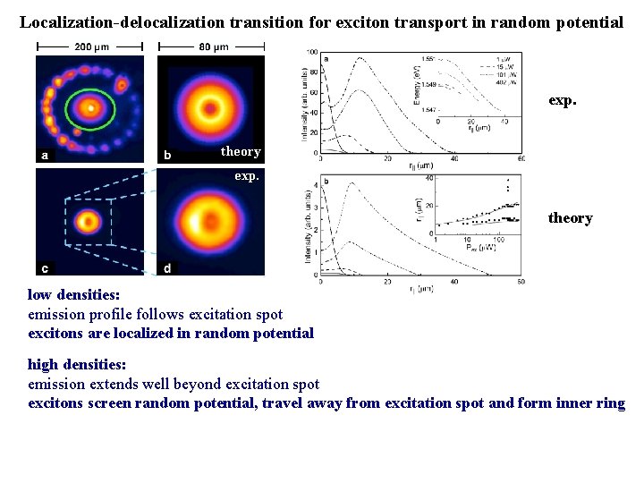 Localization-delocalization transition for exciton transport in random potential exp. theory exp. theory low densities: