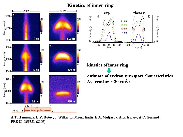Kinetics of inner ring exp. theory formation time of inner ring ~ 30 ns