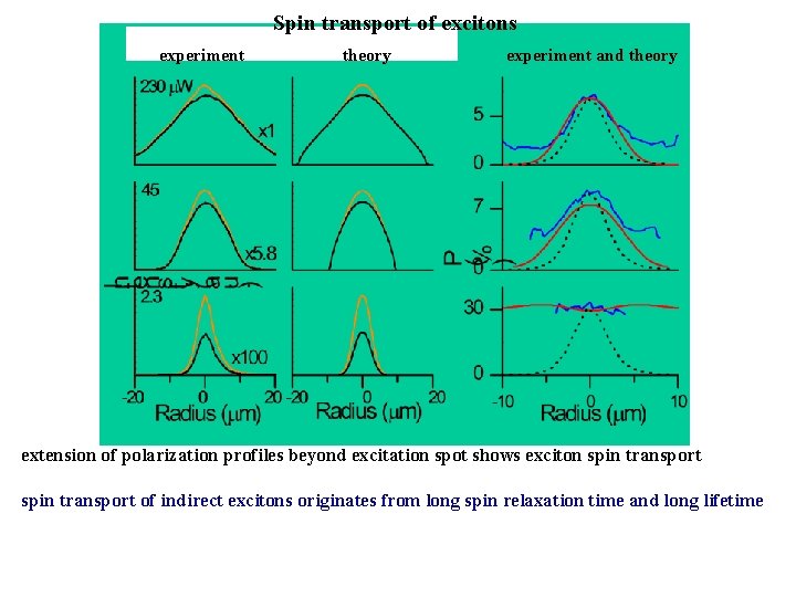 Spin transport of excitons experiment theory experiment and theory extension of polarization profiles beyond