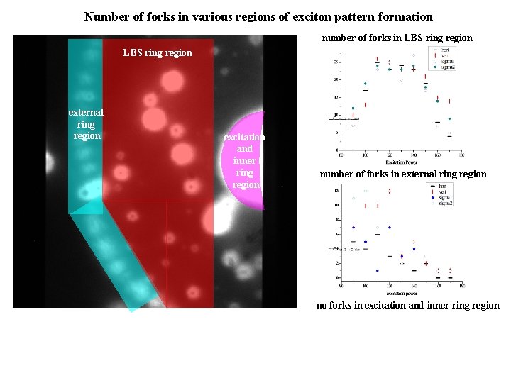 Number of forks in various regions of exciton pattern formation number of forks in