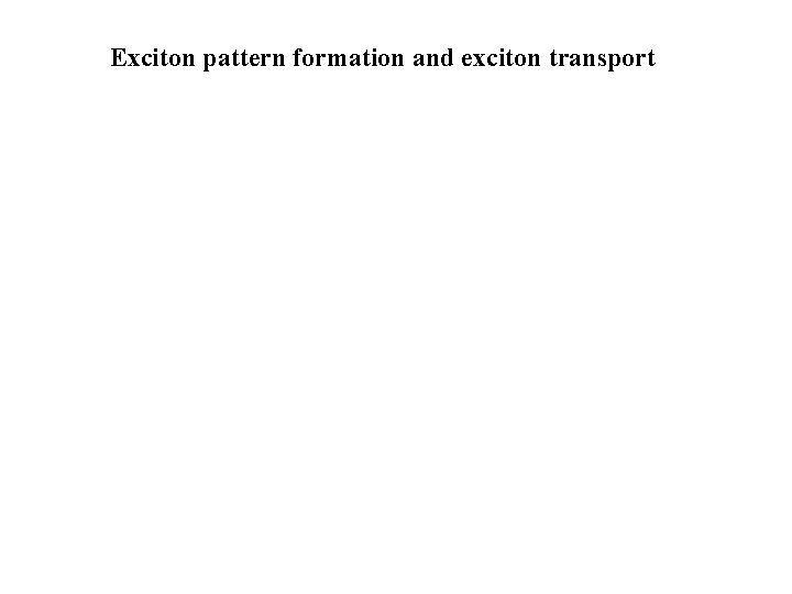 Exciton pattern formation and exciton transport 