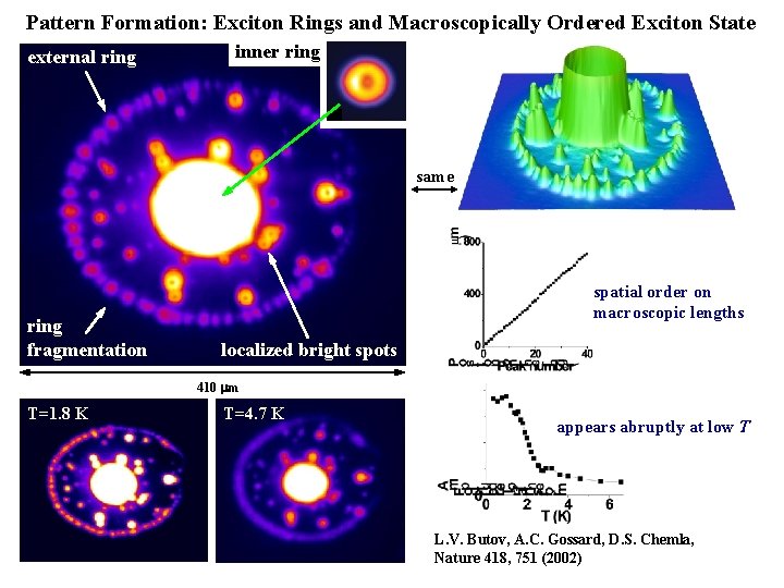 Pattern Formation: Exciton Rings and Macroscopically Ordered Exciton State external ring inner ring same