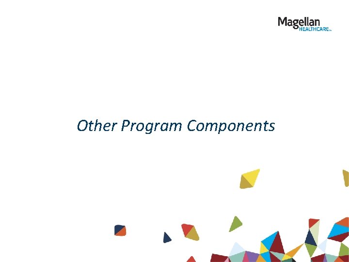 Other Program Components 