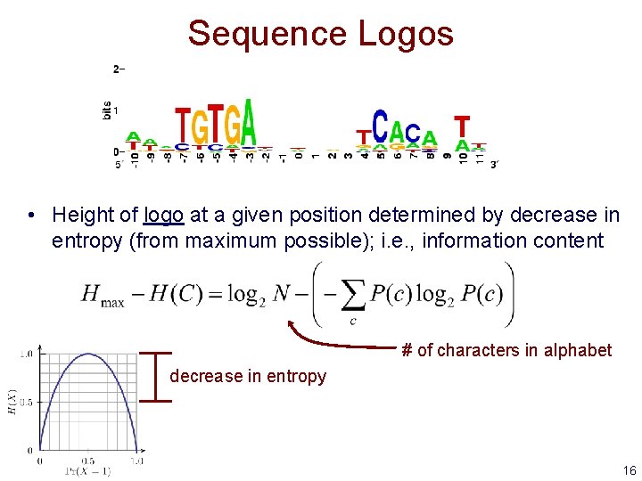 Sequence Logos • Height of logo at a given position determined by decrease in