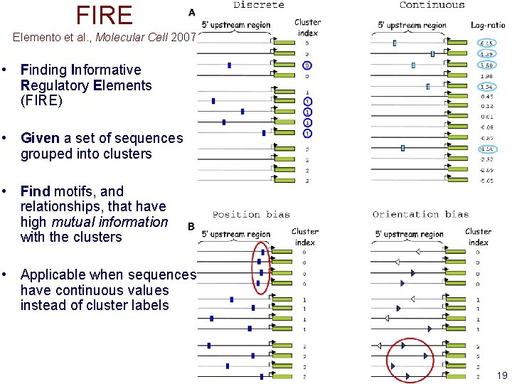 FIRE Elemento et al. , Molecular Cell 2007 • Finding Informative Regulatory Elements (FIRE)