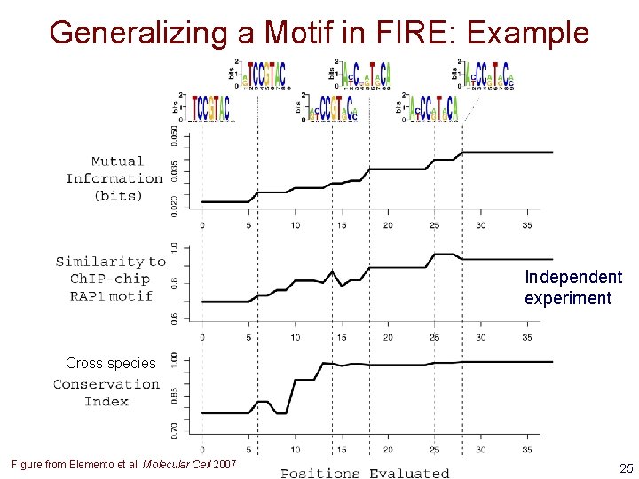 Generalizing a Motif in FIRE: Example Independent experiment Cross-species Figure from Elemento et al.