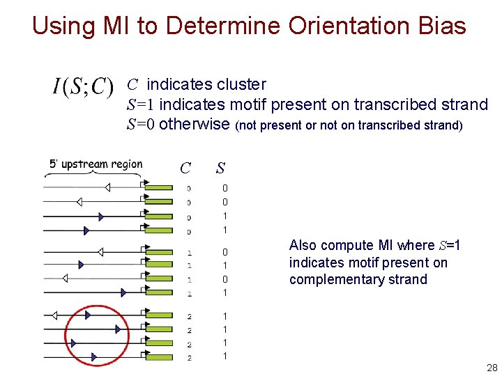 Using MI to Determine Orientation Bias C indicates cluster S=1 indicates motif present on