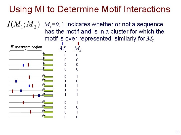 Using MI to Determine Motif Interactions M 1=0, 1 indicates whether or not a