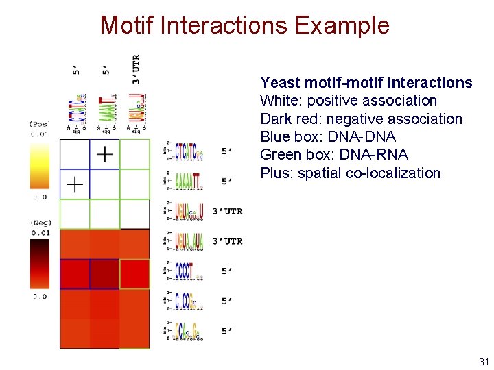 Motif Interactions Example Yeast motif-motif interactions White: positive association Dark red: negative association Blue