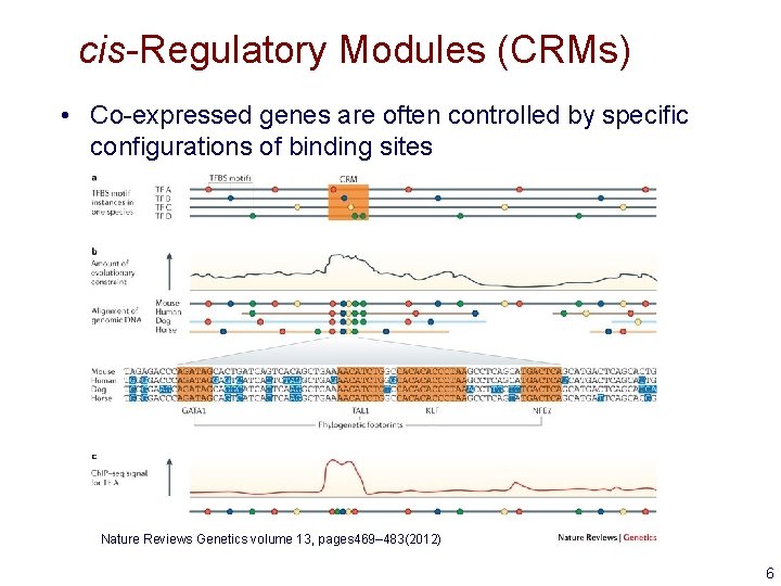 cis-Regulatory Modules (CRMs) • Co-expressed genes are often controlled by specific configurations of binding