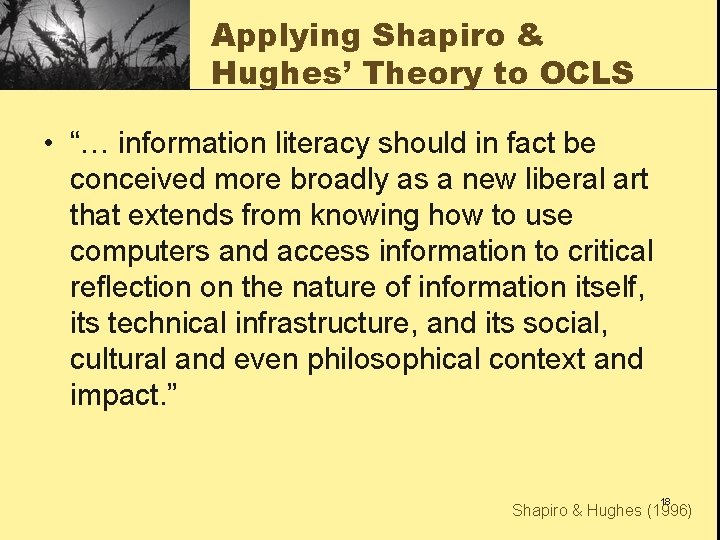 Applying Shapiro & Hughes’ Theory to OCLS • “… information literacy should in fact