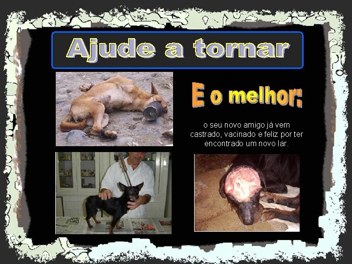 Ao adotar um animal de um abrigo, você estará reduzindo entre tantos problemas, o