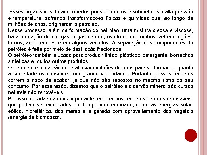 Esses organismos foram cobertos por sedimentos e submetidos a alta pressão e temperatura, sofrendo