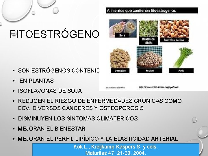 FITOESTRÓGENOS • SON ESTRÓGENOS CONTENIDOS • EN PLANTAS • ISOFLAVONAS DE SOJA • REDUCEN FITOESTRÓGENOS • SON ESTRÓGENOS CONTENIDOS • EN PLANTAS • ISOFLAVONAS DE SOJA • REDUCEN