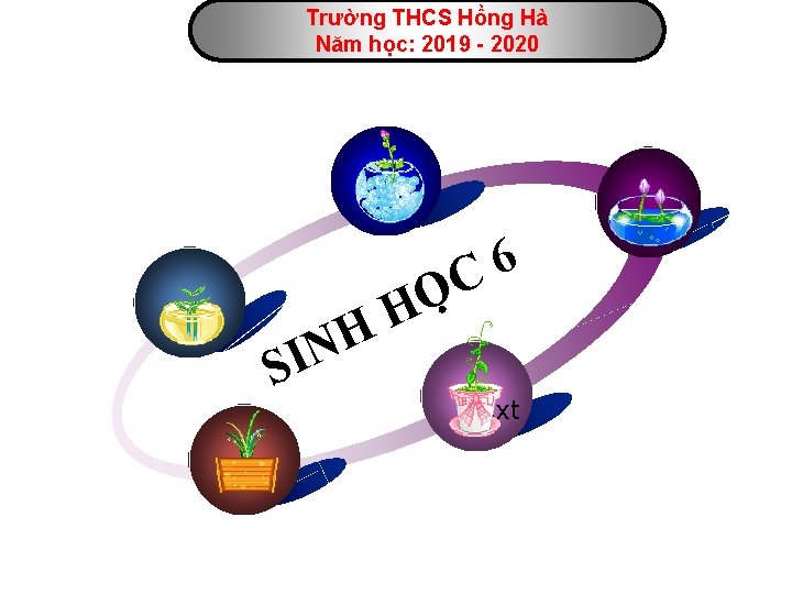 Trường THCS Hồng Hà Năm học: 2019 - 2020 Text 6 C N I
