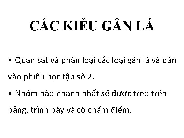 CÁC KIỂU G N LÁ • Quan sát và phân loại các loại gân