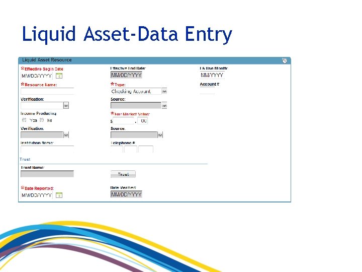 Liquid Asset-Data Entry 