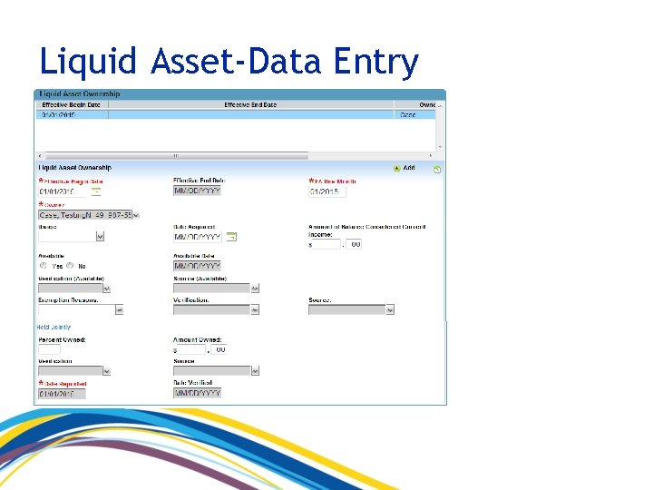 Liquid Asset-Data Entry 